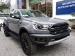 Ford Ranger Raptor   2019 - Bán ô tô Ford Ranger Raptor đời 2019, màu xám, nhập khẩu nguyên chiếc