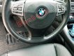 BMW 5 Series 528i 2010 - Bán BMW 528i năm sản xuất 2010, nhập khẩu