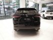 Lexus NX   300 2019 - Bán xe Lexus NX 300 sản xuất 2019, màu đen, nhập khẩu