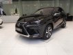 Lexus NX   300 2019 - Bán xe Lexus NX 300 sản xuất 2019, màu đen, nhập khẩu