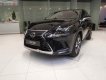 Lexus NX   300 2019 - Bán xe Lexus NX 300 sản xuất 2019, màu đen, nhập khẩu