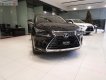 Lexus NX   300 2019 - Bán xe Lexus NX 300 sản xuất 2019, màu đen, nhập khẩu