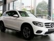 Mercedes-Benz GLC 2019 - Mercedes GLC200 mới giá tốt kèm quà hấp dẫn, hỗ trợ trả góp bao hồ sơ