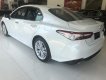 Toyota Camry 2019 - Bán Toyota Camry năm 2019, màu trắng, xe nhập