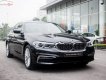 BMW 5 Series 530i 2019 - Bán BMW 530i phiên bản Luxury thế hệ 5 series mới hoàn toàn (G30)