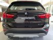 BMW X1 2019 - Cần bán xe BMW X1 đời 2019, màu nâu, xe nhập