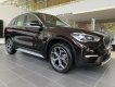 BMW X1 2019 - Cần bán xe BMW X1 đời 2019, màu nâu, xe nhập