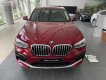 BMW X4 xDrive20i 2019 - Bán xe BMW X4 xDrive20i đời 2019, màu đỏ, nhập khẩu