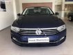 Volkswagen Passat 2018 - Bán xe Volkswagen Passat 2018, màu xanh lam, nhập khẩu