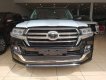 Toyota Land Cruiser   2019 - Cần bán xe Toyota Land Cruiser đời 2019, màu đen, nhập khẩu