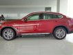 BMW X4 xDrive20i 2018 - Bán BMW X4 tại Đà Nẵng - mới chưa đăng ký