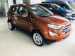 Ford EcoSport 2019 - Cần bán xe Ford EcoSport đời 2019, giá chỉ 521 triệu