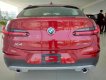 BMW X4 xDrive20i 2018 - Bán BMW X4 tại Đà Nẵng - mới chưa đăng ký