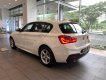 BMW 1 Series 118i   2018 - Bán BMW 118i tại Đà Nẵng - Xe mới chưa đăng ký!