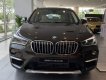 BMW X1   2018 - Bán xe BMW X1 sản xuất 2018, màu đen, xe nhập