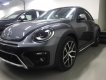Volkswagen New Beetle 2019 - Bán Volkswagen New Beetle cao cấp đời 2019, màu xám (ghi), xe nhập