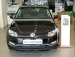 Volkswagen Polo   1.6AT   2018 - Bán Volkswagen Polo 1.6AT đời 2018, màu đen, nhập khẩu