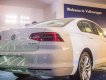 Volkswagen Passat BlueMotion 2018 - Bán ô tô Volkswagen Passat BlueMotion năm 2018