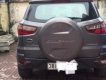 Ford EcoSport   2014 - Bán Ford EcoSport 2014, màu xám, nhập khẩu 