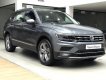 Volkswagen Tiguan 2018 - Cần bán Tiguan Allspace xám 2019 phiên bản đặc biệt với ưu đãi khủng