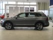 Volkswagen Tiguan 2018 - Cần bán Tiguan Allspace xám 2019 phiên bản đặc biệt với ưu đãi khủng