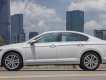 Volkswagen Passat BlueMotion 2018 - Bán ô tô Volkswagen Passat BlueMotion năm 2018