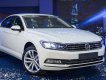 Volkswagen Passat BlueMotion 2018 - Bán ô tô Volkswagen Passat BlueMotion năm 2018