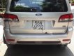 Ford Escape AT 2009 - Bán Ford Escape sx 2009, màu bạc số tự động, giá tốt