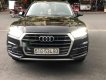 Audi Q5   TFSI Quattro   2017 - Cần bán xe Audi Q5 TFSI Quattro 2017, màu đen