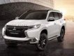 Mitsubishi Pajero Sport   4x2 MT  2019 - Bán Mitsubishi Pajero Sport 4x2 MT năm sản xuất 2019, xe nhập