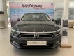 Volkswagen Passat 2018 - Bán xe Volkswagen Passat năm 2018, màu đen, nhập khẩu nguyên chiếc