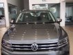 Volkswagen Tiguan   2019 - Bán Volkswagen Tiguan 2019, màu xám, nhập khẩu