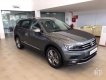 Volkswagen Tiguan   2019 - Bán Volkswagen Tiguan 2019, màu xám, nhập khẩu