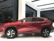 Lexus NX  300  2019 - Bán xe Lexus  NX 300 sản xuất 2019, màu đỏ, nhập khẩu