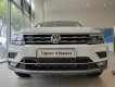 Volkswagen Tiguan Allspace 2019 - Volkswagen Tiguan trắng ngọc trai - 2019 - Trả trước chỉ từ 345 triệu - Ưu đãi tháng 5