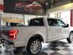 Ford F 150 Limited 2019 - Bán Ford F150 Limited V6 3.5L Ecoboost nhập Mỹ mỚI 100%