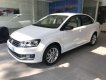 Volkswagen Polo   2019 - Bán ô tô Volkswagen Polo năm 2019, màu trắng, nhập khẩu nguyên chiếc, phân khúc B