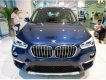 BMW X1 sDrive18i 2018 - Bán xe BMW X1 tại Đắk Lắk - Xe mới chưa đăng ký