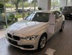 BMW 3 Series    320i 2018 - Bán BMW 3 Series 320i đời 2018, màu trắng, nhập khẩu Đức