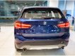 BMW X1 sDrive18i 2018 - Bán xe BMW X1 tại Đắk Lắk - Xe mới chưa đăng ký