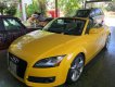 Audi TT    2007 - Cần bán xe Audi TT 2007, màu vàng, nhập khẩu nguyên chiếc