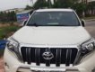 Toyota Prado TXL 2.7L 2016 - Cần bán Toyota Prado TXL 2.7L năm 2016, màu trắng, xe nhập chính chủ