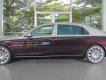 Mercedes-Benz Maybach S500 2017 - Bán Maybach Mercedes-Benz S500 màu ruby black beige, đi 39 km, nhập khẩu, mới 99%