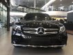 Mercedes-Benz GLC-Class 2019 - Giá xe Mercedes GLC300 4Matic AMG khuyến mãi, thông số, giá lăn bánh tháng 02/2020 tặng 50% lệ phí trước bạ