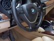 BMW X6 2009 - Cần bán gấp BMW X6 2009, màu xám, nhập khẩu nguyên chiếc, giá tốt