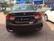 Suzuki Ciaz   1.4 AT 2019 - Bán Suzuki Ciaz 1.4 AT đời 2019, màu nâu, nhập khẩu, giá 499tr