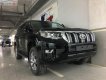 Toyota Prado VX 2.7L 2018 - Bán xe Toyota Prado VX 2.7L sản xuất 2018, màu đen, xe nhập