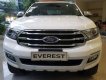 Ford Everest 2.0L AT 4x2 2019 - Bán xe Ford Everest 2.0L AT 4x2 2019, màu trắng