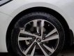 Kia Cerato  2.0 2017 - Cần bán lại xe Kia Cerato 2.0 đời 2017, màu trắng chính chủ