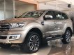 Ford Everest  Ambiente 2.0L 4x2 MT 2019 - Bán xe Ford Everest sản xuất 2019, xe nhập, giá canh tranh